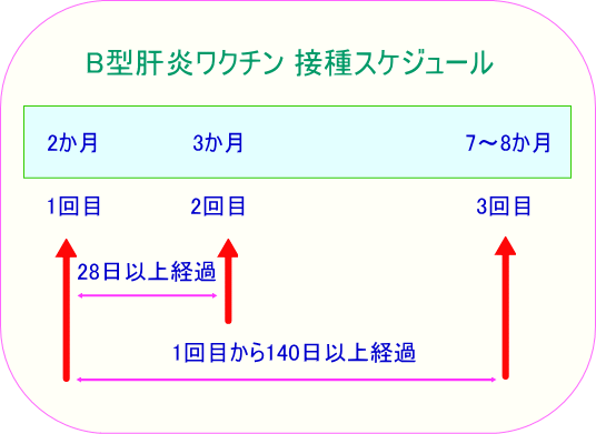 b 型 肝炎 予防 接種 3 回目 遅れ た